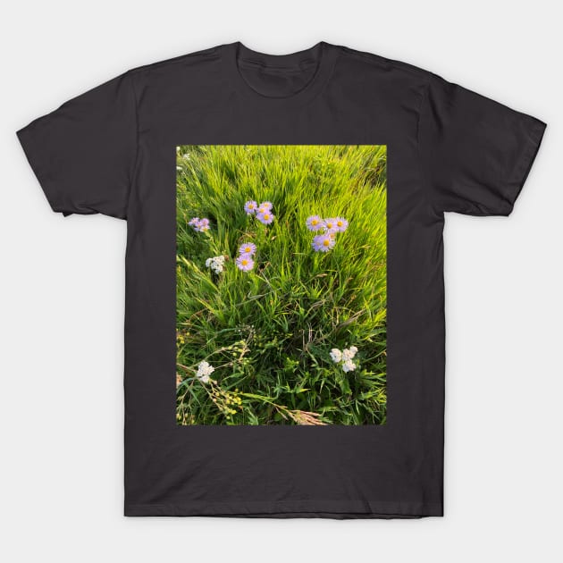 Mountain daisies T-Shirt by Art Quilts by Rhonda